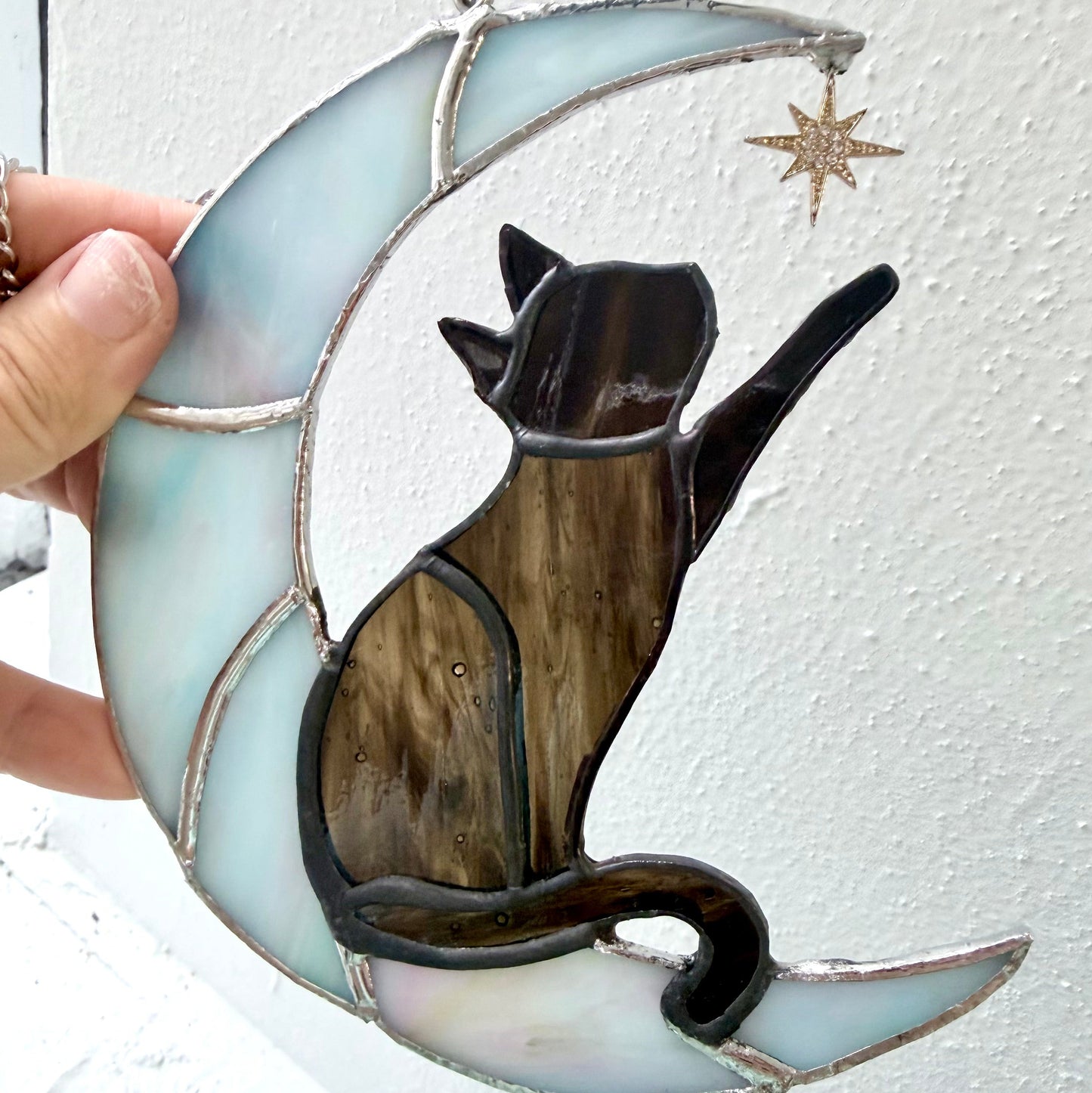 Cat on Moon Reaching for Star