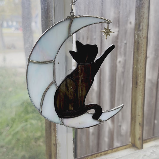 Cat on Moon Reaching for Star